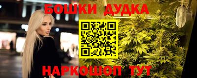 стаф Кандалакша