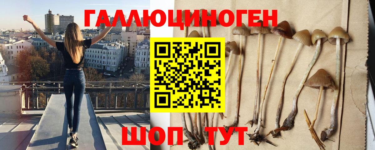 Галлюциногенные грибы Psilocybine cubensis  Вход с VPN  где купить   Лабытнанги 
